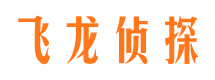 漳县侦探